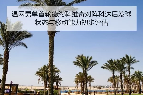 wen-wang-nan-dan-shou-lun-de-yue-ke-wei-qi-dui-zhen-ke-da-hou-fa-qiu-zhuang-tai-yu-yi-dong-neng-li-chu-bu-ping-gu-2-740.jpg